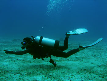 Dive_Master_10618