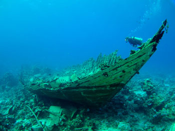 Diver_Over_A_Wrec