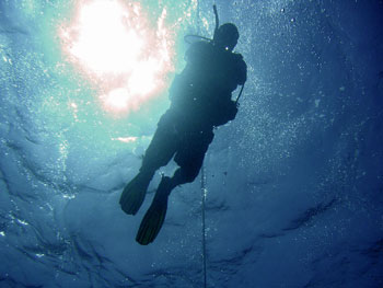 Scuba_Diver_In_Th