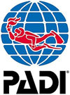 padi padi